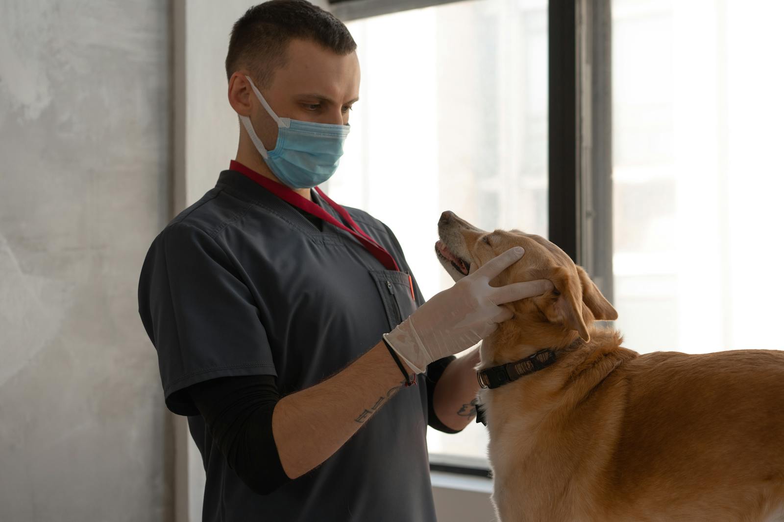Veterinary clinic client image